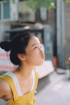 机械姬